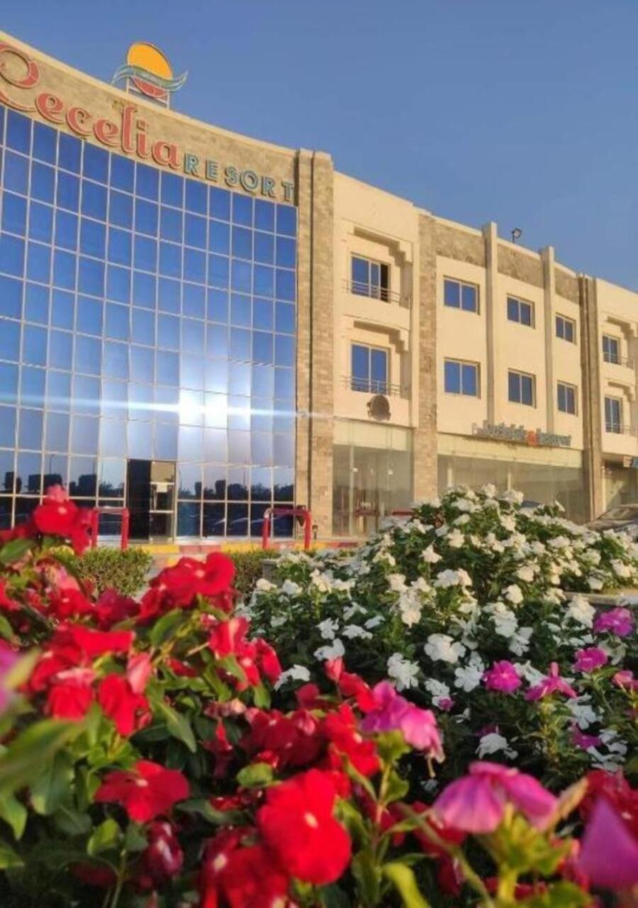 Appartement Furnished For Rent In Cecilia Furnteched, Kitchenee, Near Airport *
