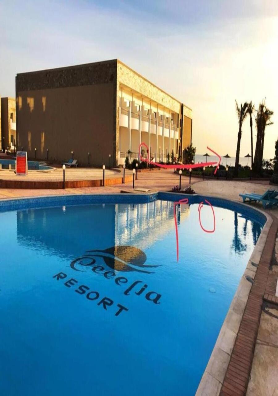 Appartement Furnished For Rent In Cecilia Furnteched, Kitchenee, Near Airport Hurghada